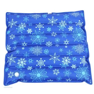 Coussin Bain Dérivatif Froid