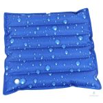 Coussin froid pour thérapie par bain