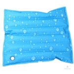 Coussin de bain pour traitement froid